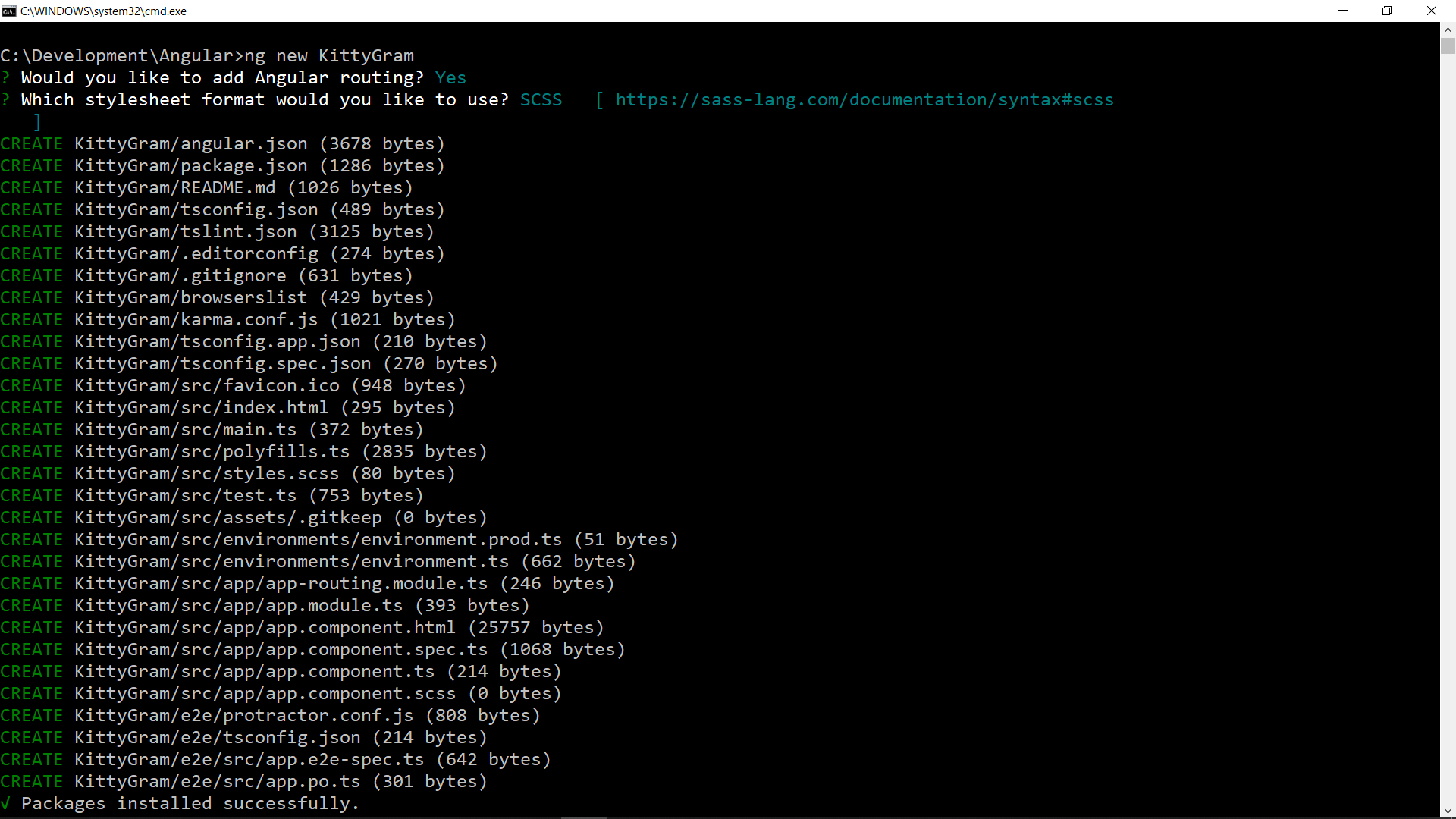 Creating a new Angular app using Angular CLI