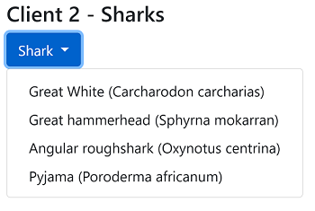 Sharks with Latin names
